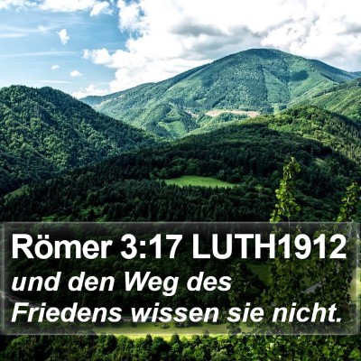 Römer 3:17 LUTH1912 Bible Verse Image