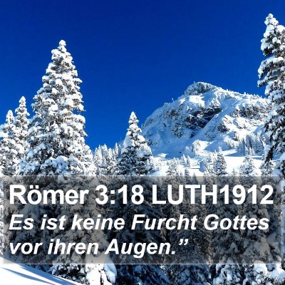 Römer 3:18 LUTH1912 Bible Verse Image