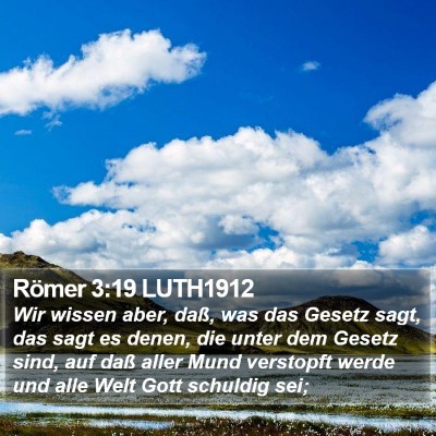Römer 3:19 LUTH1912 Bible Verse Image