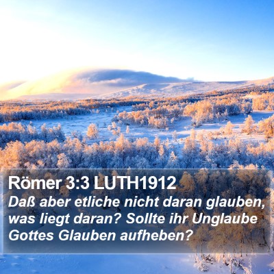 Römer 3:3 LUTH1912 Bible Verse Image