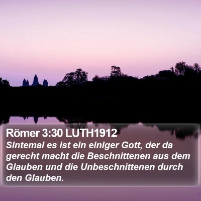 Römer 3:30 LUTH1912 Bible Verse Image