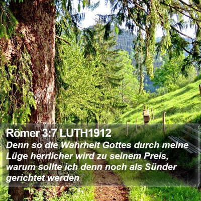 Römer 3:7 LUTH1912 Bible Verse Image