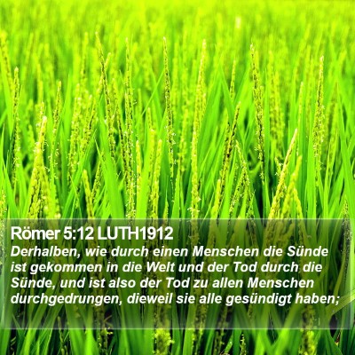 Römer 5:12 LUTH1912 Bible Verse Image