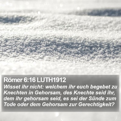Römer 6:16 LUTH1912 Bible Verse Image