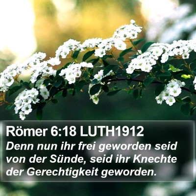 Römer 6:18 LUTH1912 Bible Verse Image