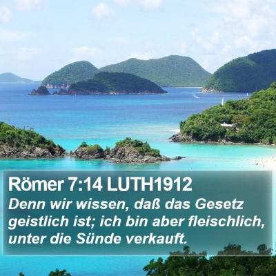 Römer 7:14 LUTH1912 Bible Verse Image