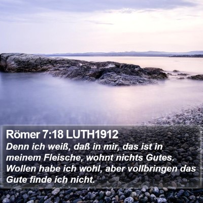 Römer 7:18 LUTH1912 Bible Verse Image