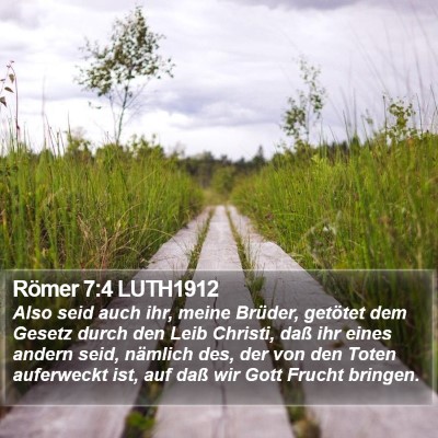 Römer 7:4 LUTH1912 Bible Verse Image