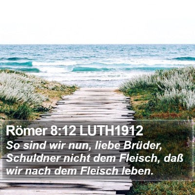 Römer 8:12 LUTH1912 Bible Verse Image