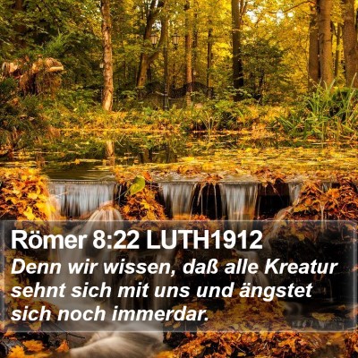 Römer 8:22 LUTH1912 Bible Verse Image