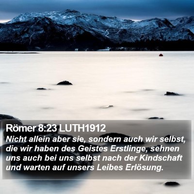Römer 8:23 LUTH1912 Bible Verse Image