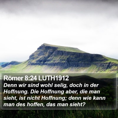 Römer 8:24 LUTH1912 Bible Verse Image