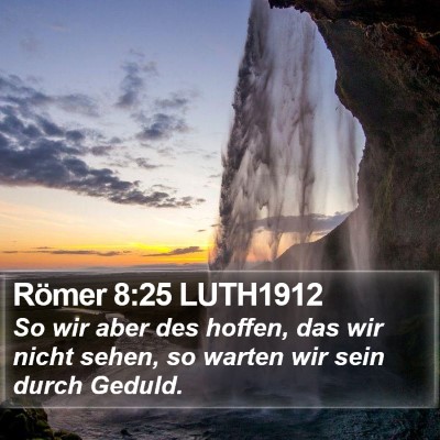 Römer 8:25 LUTH1912 Bible Verse Image