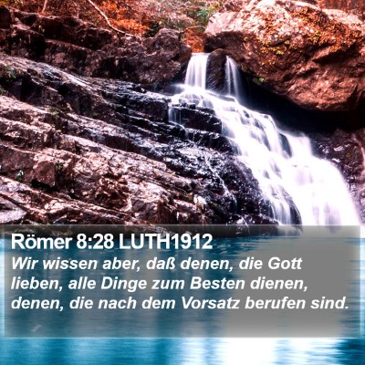 Römer 8:28 LUTH1912 Bible Verse Image