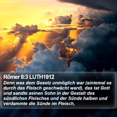 Römer 8:3 LUTH1912 Bible Verse Image