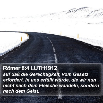 Römer 8:4 LUTH1912 Bible Verse Image