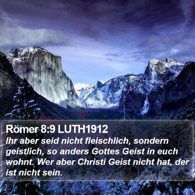Römer 8:9 LUTH1912 Bible Verse Image