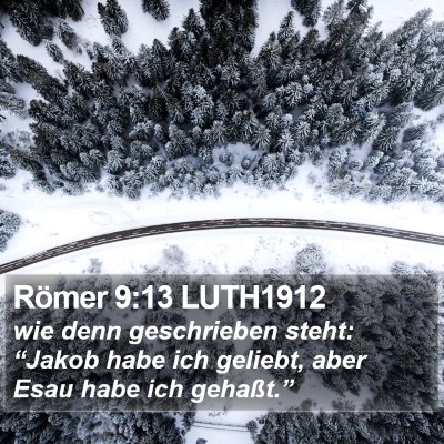 Römer 9:13 LUTH1912 Bible Verse Image