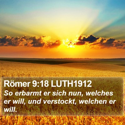 Römer 9:18 LUTH1912 Bible Verse Image