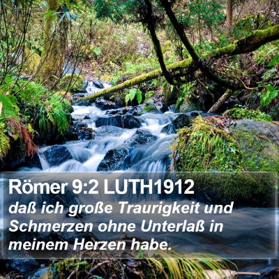 Römer 9:2 LUTH1912 Bible Verse Image