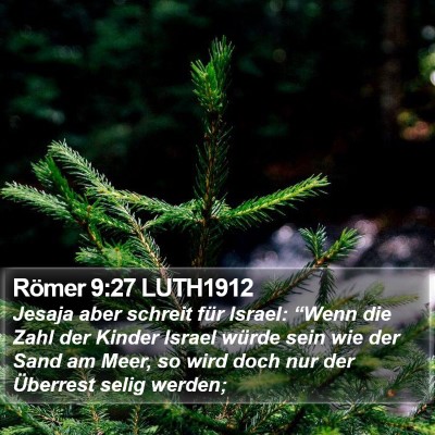 Römer 9:27 LUTH1912 Bible Verse Image