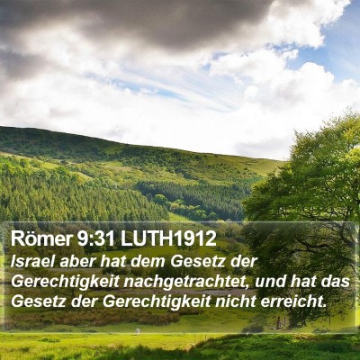 Römer 9:31 LUTH1912 Bible Verse Image