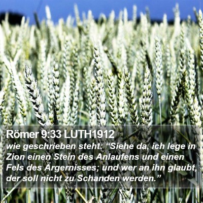 Römer 9:33 LUTH1912 Bible Verse Image