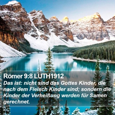 Römer 9:8 LUTH1912 Bible Verse Image
