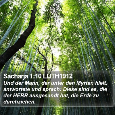 Sacharja 1:10 LUTH1912 Bible Verse Image