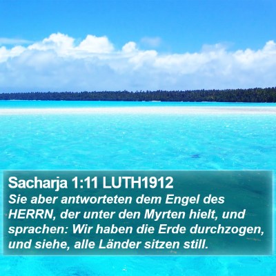 Sacharja 1:11 LUTH1912 Bible Verse Image