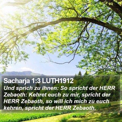 Sacharja 1:3 LUTH1912 Bible Verse Image