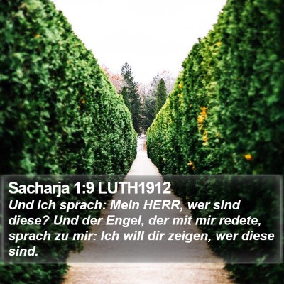 Sacharja 1:9 LUTH1912 Bible Verse Image