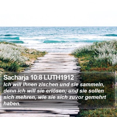 Sacharja 10:8 LUTH1912 Bible Verse Image