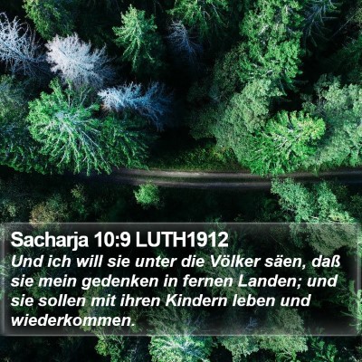 Sacharja 10:9 LUTH1912 Bible Verse Image