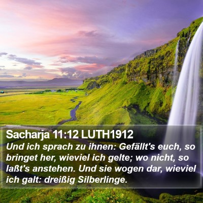 Sacharja 11:12 LUTH1912 Bible Verse Image