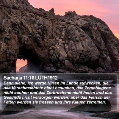 Sacharja 11:16 LUTH1912 Bible Verse Image