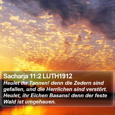Sacharja 11:2 LUTH1912 Bible Verse Image