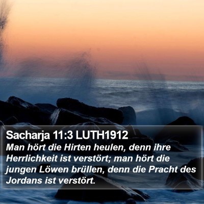 Sacharja 11:3 LUTH1912 Bible Verse Image