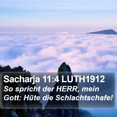 Sacharja 11:4 LUTH1912 Bible Verse Image