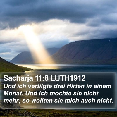 Sacharja 11:8 LUTH1912 Bible Verse Image