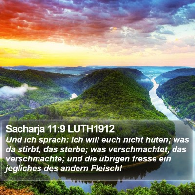 Sacharja 11:9 LUTH1912 Bible Verse Image