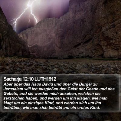 Sacharja 12:10 LUTH1912 Bible Verse Image