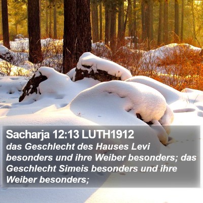 Sacharja 12:13 LUTH1912 Bible Verse Image