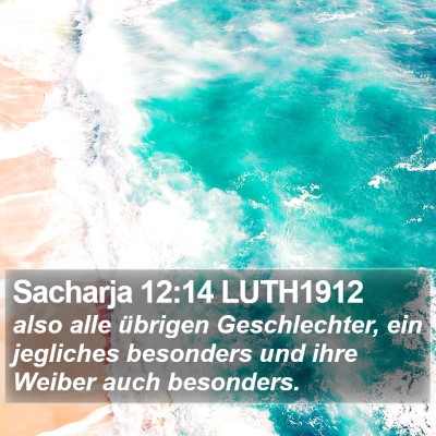 Sacharja 12:14 LUTH1912 Bible Verse Image