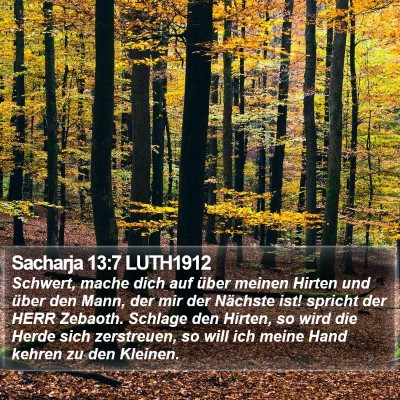 Sacharja 13:7 LUTH1912 Bible Verse Image