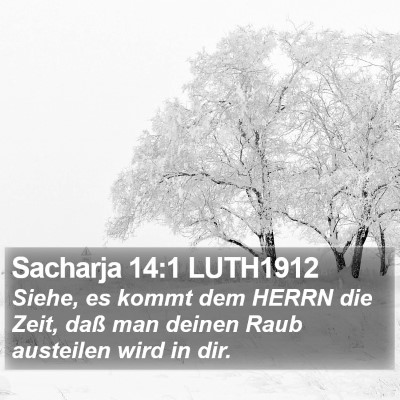 Sacharja 14:1 LUTH1912 Bible Verse Image