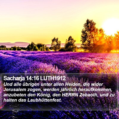 Sacharja 14:16 LUTH1912 Bible Verse Image