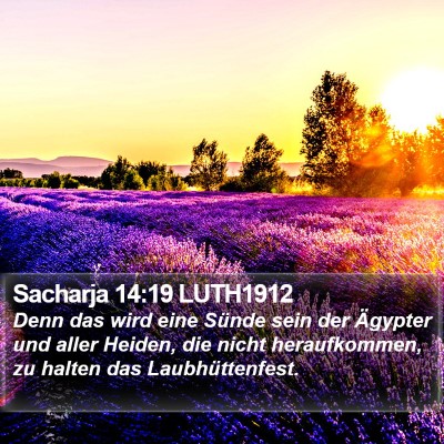 Sacharja 14:19 LUTH1912 Bible Verse Image