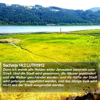 Sacharja 14:2 LUTH1912 Bible Verse Image