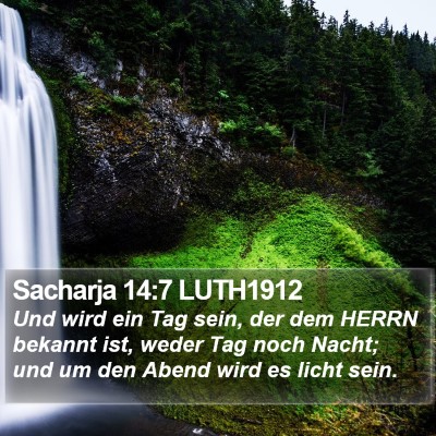 Sacharja 14:7 LUTH1912 Bible Verse Image